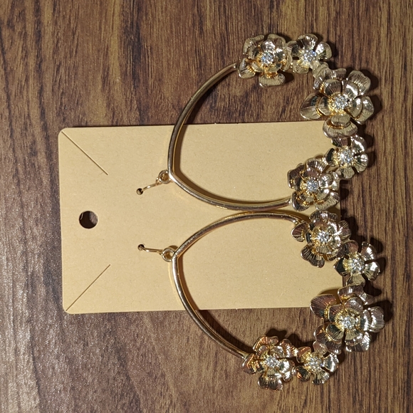 5/20$ huuuuuge earrings - Picture 1 of 2